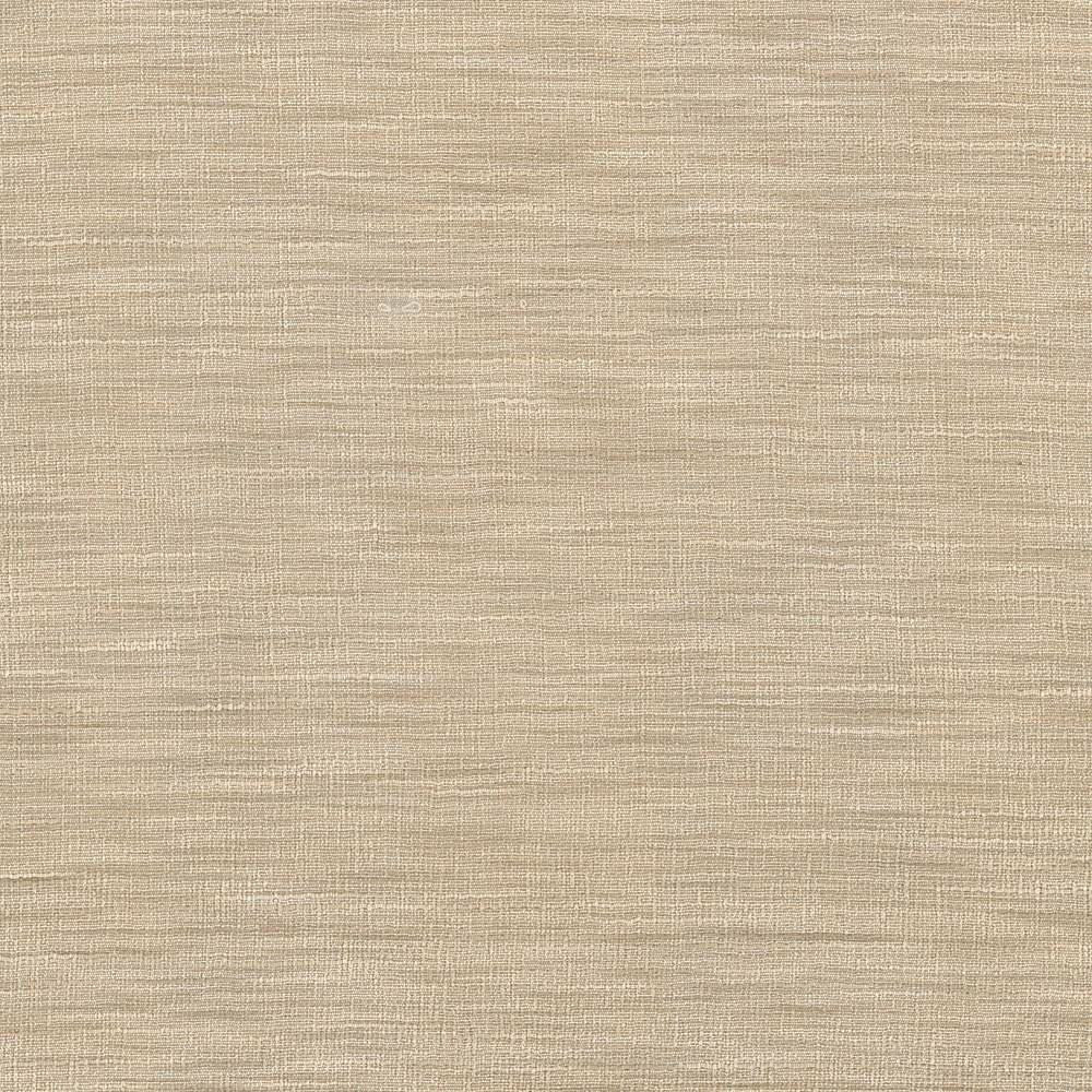 Gainsford Tussah by Kasmir Designer Fabric 5060 75% Polyester
25% Viscose
 INDIA </p><p>Repeat: Horizontal: N/A and Vertical: N/A 54 - Swanky Fabrics -