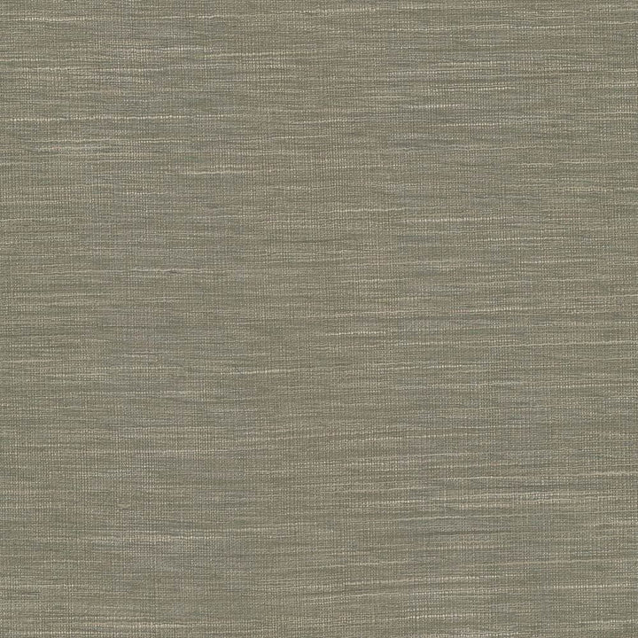 Gainsford Walnut  by Kasmir Designer Fabric 5060 75% Polyester
25% Viscose
 INDIA Not Tested Horizontal: N/A and Vertical: N/A 54  - Swanky Fabrics -