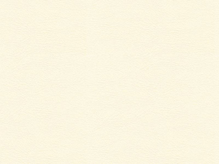 GAROUA.101 by Kravet Design Designer Fabric in our sample Polyurethane 100% Japan Heavy Horizontal: See Sample and Vertical: See Sample 54 inches - Swanky Fabrics -