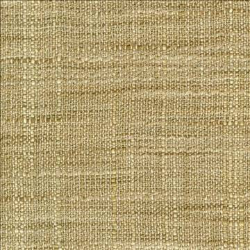 Gatlin Khaki by Kasmir Designer Fabric 1313 100% Polyester INDIA Not Tested H: N/A, V: N/A 54 - Swanky Fabrics - Kasmir