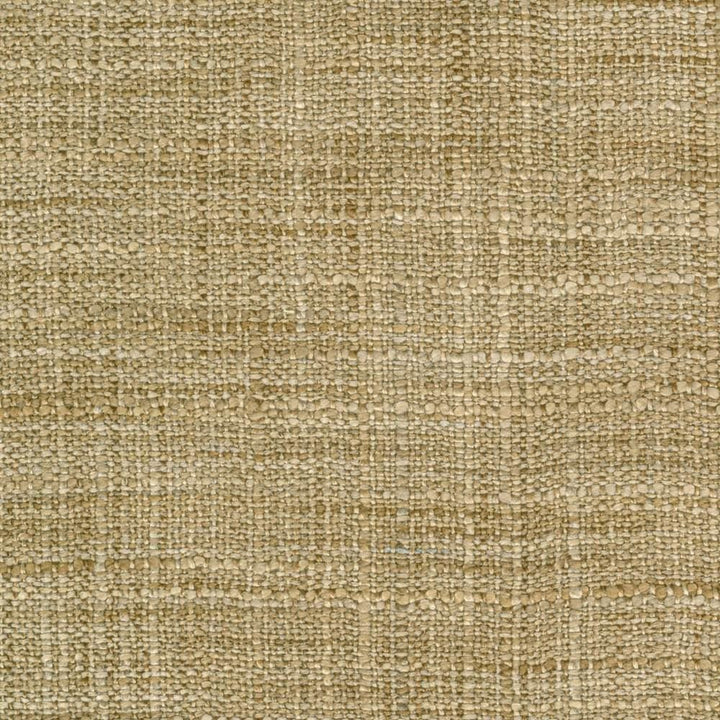 Gatlin Nutmeg by Kasmir Designer Fabric 1313 100% Polyester
 INDIA Not Tested </p><p>Repeat: Horizontal: N/A and Vertical: N/A 54 - Swanky Fabrics -