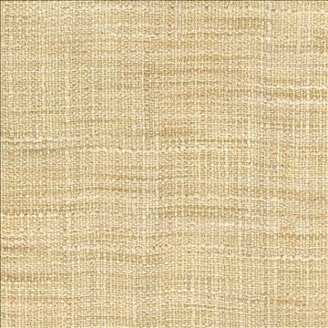 Gatlin Parchment by Kasmir Designer Fabric 1313 100% Polyester INDIA Not Tested H: N/A, V: N/A 54 - Swanky Fabrics - Kasmir