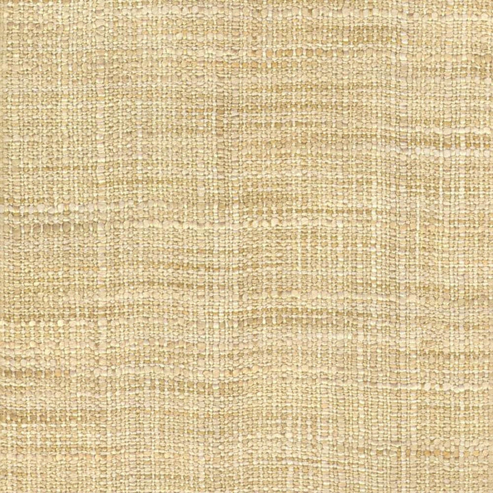 Gatlin Parchment  by Kasmir Designer Fabric 1313 100% Polyester
 INDIA Not Tested Horizontal: N/A and Vertical: N/A 54  - Swanky Fabrics -