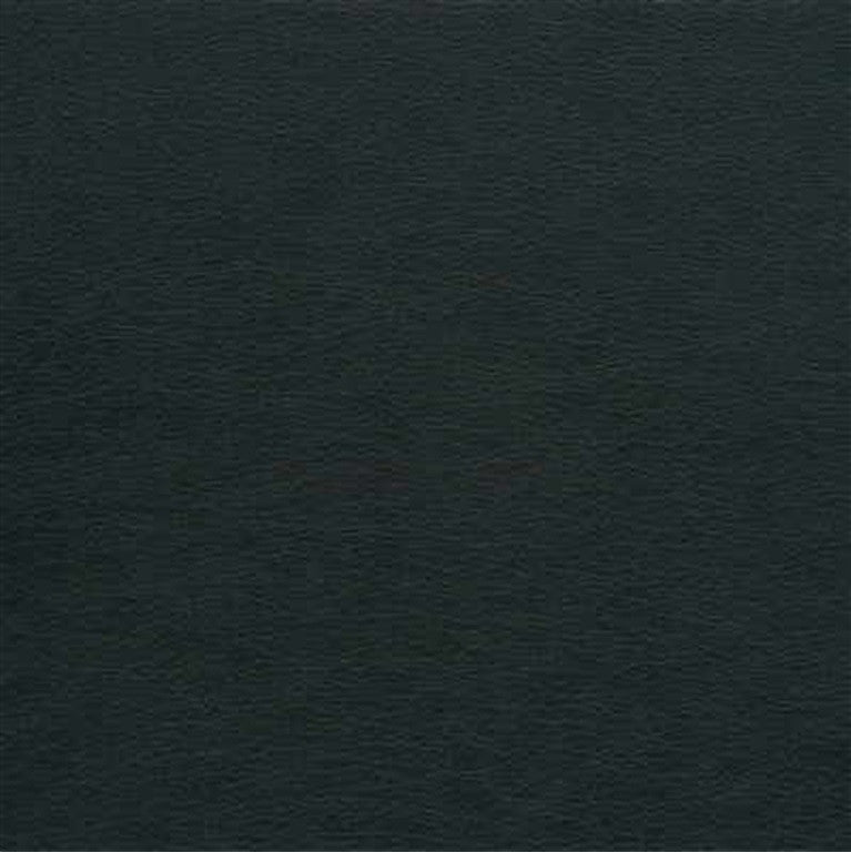 GATO.21 by Kravet Design Designer Fabric our website for purchase 100% Leather Japan Heavy Horizontal: see sample and Vertical: see sample 54 inches - Swanky Fabrics -