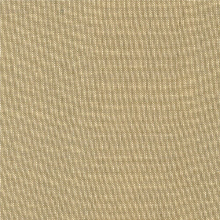 Gauzier Linen by Kasmir Designer Fabric 5076 100% Polyamide TURKEY Horizontal: 0 Inches and Vertical: 0 Inches 117 - 118 - Swanky Fabrics -