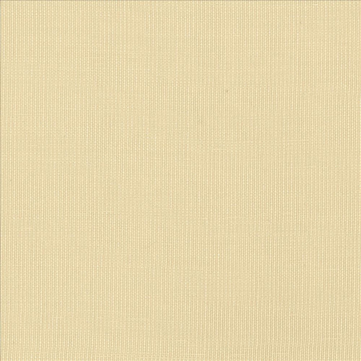 Gauzier Natural  by Kasmir Designer Fabric 5076 100% Polyamide
 TURKEY  Horizontal: N/A and Vertical: N/A 117  - Swanky Fabrics -