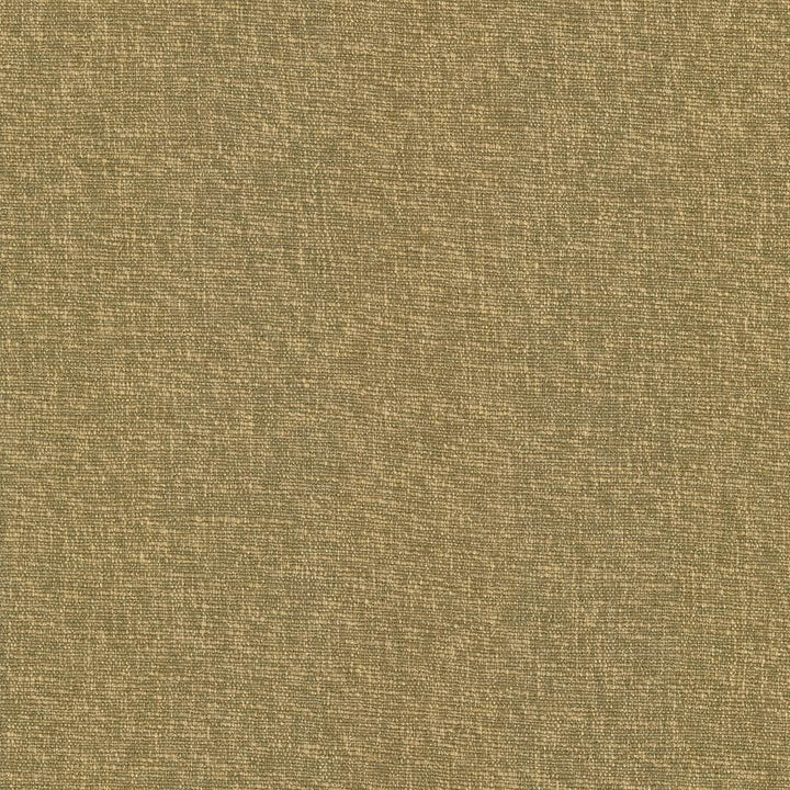 Gobo Butterscotch  by Kasmir Designer Fabric 5069 60% Polyester
40% Rayon
 INDIA 30,000 Wyzenbeek Double Rubs Horizontal: N/A and Vertical: N/A 54  - Swanky Fabrics -