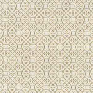 Greywell Marble  by Kasmir Designer Fabric