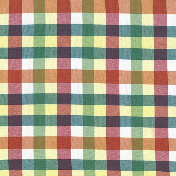 Grimaldi Check Summer  by Kasmir Designer Fabric 5069 100% Cotton
 INDIA 30,000 Wyzenbeek Double Rubs Horizontal: 6 6/8 inches and Vertical: 13 4/8 inches 54  - Swanky Fabrics -