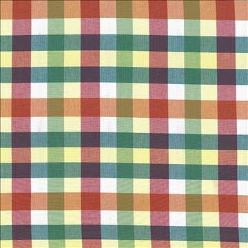 Grimaldi Check Summer by Kasmir Designer Fabric 5069 100% Cotton INDIA 30,000 Wyzenbeek Double Rubs H: 6 6/8 inches, V: 13 4/8 inches 54 - Swanky Fabrics - Kasmir