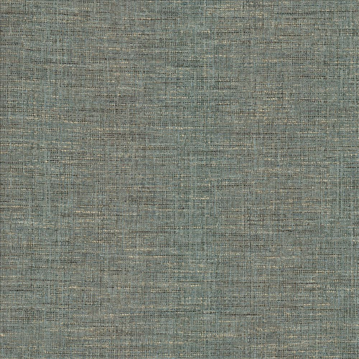 Guillermo Slate by Kasmir Designer Fabric 1461 91% Polyester
9% Rayon
 INDIA 100,000 Wyzenbeek Double Rubs </p><p>Repeat: Horizontal: N/A and Vertical: N/A 56 - Swanky Fabrics -
