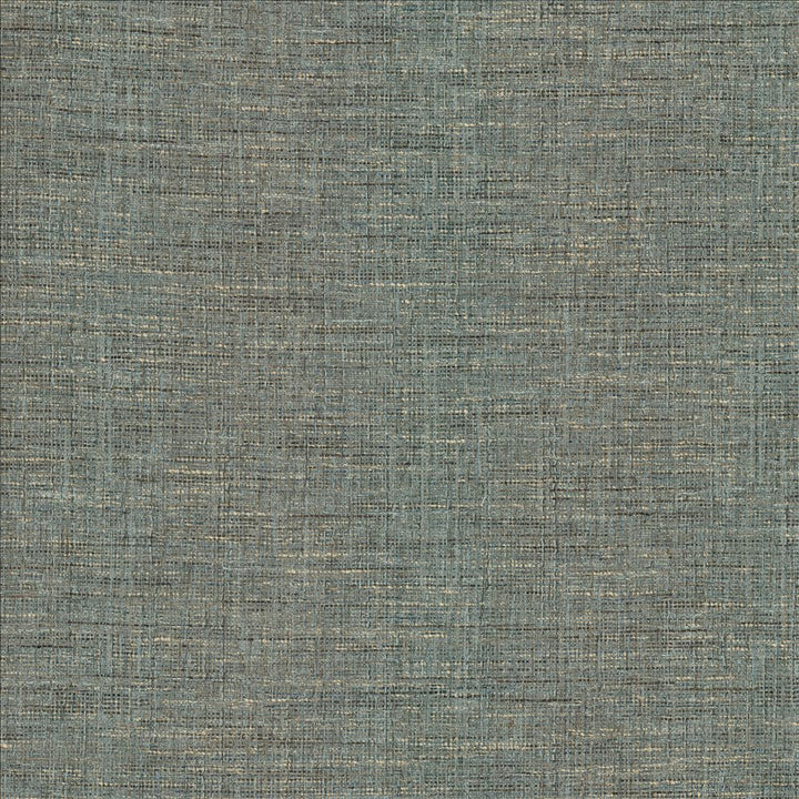 Guillermo Slate  by Kasmir Designer Fabric 1461 91% Polyester
9% Rayon
 INDIA 100,000 Wyzenbeek Double Rubs Horizontal: N/A and Vertical: N/A 56  - Swanky Fabrics -