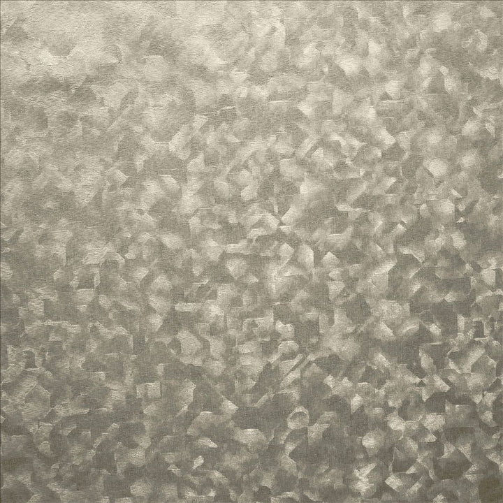 Hermione Pewter by Kasmir Designer Fabric 1460 100% Polyester
 CHINA 15,000 Wyzenbeek Double Rubs </p><p>Repeat: Horizontal: N/A and Vertical: N/A 54 - Swanky Fabrics -