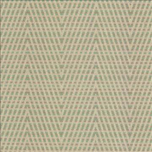 Hot To Trot Driftwood by Kasmir Designer Fabric