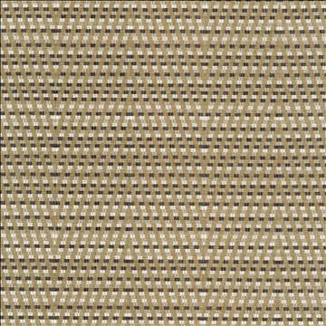 Hot To Trot Platinum by Kasmir Designer Fabric 5113 78% Polyester 22% Cotton INDIA 25,000 Wyzenbeek Double Rubs H: 6 7/8 inches, V: 14 6/8 inches 54 - 56 - Swanky Fabrics - Kasmir