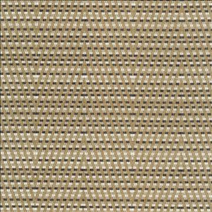 Hot To Trot Platinum by Kasmir Designer Fabric