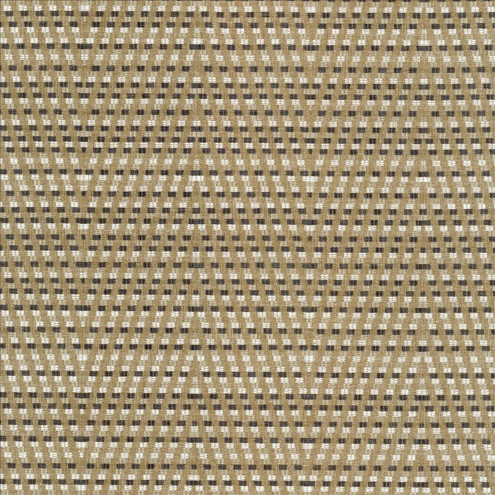 Hot To Trot Platinum by Kasmir Designer Fabric 5113 78% Polyester
22% Cotton
 INDIA 25,000 Wyzenbeek Double Rubs </p><p>Repeat: Horizontal: 6 7/8 inches and Vertical: 14 6/8 inches 54 - Swanky Fabrics -