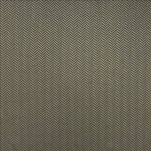 Hypnotic Pewter by Kasmir Designer Fabric