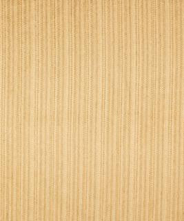 Shackleford Golden M8946 by Barrow Designer Fabric 11C07 80% RAYON
20% POLYESTER CHINA 9,000 DOUBLE RUBS </p><p>Repeat: Horizontal: N/A and Vertical: N/A 54" Minimum - Swanky Fabrics -