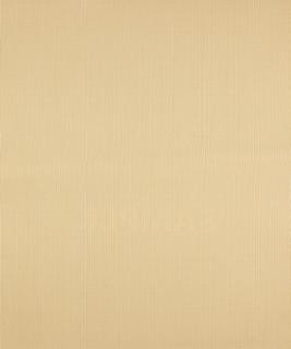 Queue Ivory M8926 by Barrow Industries Designer Fabric Textures/Solids/13C01 69% POLYESTER (F)
31% COTTON Asia 12,000 DOUBLE RUBS Horizontal: N/A and Vertical: N/A 57" - Swanky Fabrics -