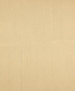 Queue Ivory M8926 by Barrow Designer Fabric