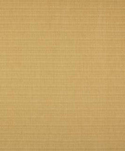 Resolute Barley M9062 by Barrow Designer Fabric