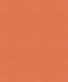 Goodrich 11501 M9989 by Barrow Designer Fabric