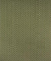 Lyman 12115 M9903 by Barrow Designer Fabric