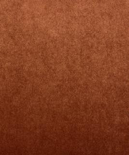 Callie Rhubarb M7574 by Barrow Designer Fabric 2872 79% POLYESTER
21% RAYON CHINA 51,000 DOUBLE RUBS </p><p>Repeat: Horizontal: N/A and Vertical: N/A 54" Minimum - Swanky Fabrics -