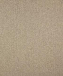 Energy 21002 M10156 by Barrow Designer Fabric