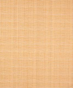Deming 11304 M9495 by Barrow Designer Fabric