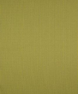 Terrapin Creek Kiwi M8926 by Barrow Designer Fabric