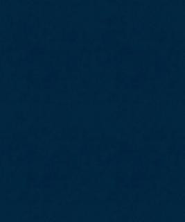 Counterpoint 21908 T11398 by Barrow Designer Fabric 18CL05 100% POLYESTER KNIT PILE FABRIC CHINA 30,000 DOUBLE RUBS </p><p>Repeat: Horizontal: and Vertical: 54" Minimum - Swanky Fabrics -