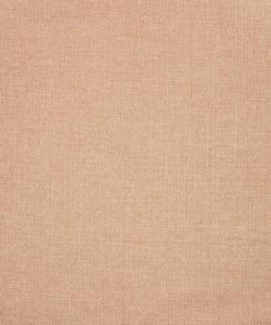 Jojoba 11303 M10538R by Barrow Designer Fabric