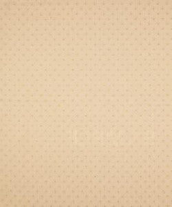 Dainty Macaroon M8676 by Barrow Designer Fabric