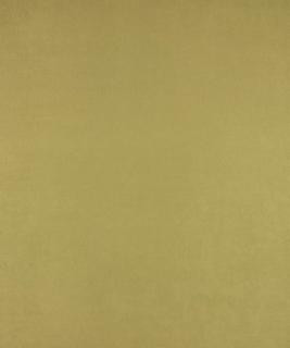 All-Star Verde M6802 by Barrow Designer Fabric 12CL06 56% POLYESTER (S) 44% POLYESTER (F) CHINA 40,000 DOUBLE RUBS </p><p>Repeat: Horizontal: N/A and Vertical: N/A 54" Minimum - Swanky Fabrics -