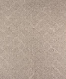 Kensal 21103 M9962 by Barrow Industries Designer Fabric Modern/Contemporary/17CL09 65% POLYESTER (F)
35% POLYESTER (S) Asia 75,000 DOUBLE RUBS Horizontal: - and Vertical: - 56" - Swanky Fabrics -