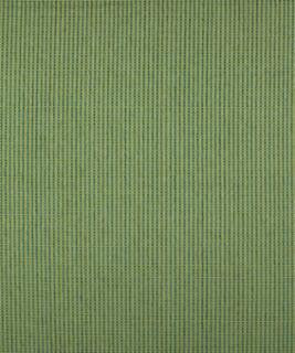 Dorio 12105 M9488 by Barrow Designer Fabric 1869 51% POLYESTER 49% RAYON CHINA 15,000 DOUBLE RUBS </p><p>Repeat: Horizontal: N/A and Vertical: N/A 54" Minimum - Swanky Fabrics -
