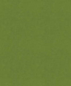 Flatbread 12103 M9989 by Barrow Designer Fabric