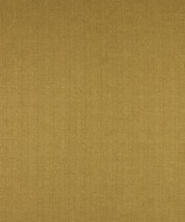 Advocate Camel M7286 by Barrow Designer Fabric 13C01 52% POLYESTER FILAMENT-TEXTURED
48% POLYESTER FILAMENT NON-TEXTURED CHINA 30,000 DOUBLE RUBS </p><p>Repeat: Horizontal: N/A and Vertical: N/A 54" Minimum - Swanky Fabrics -