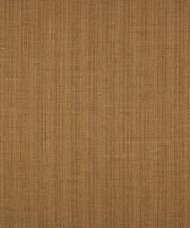 Top Of The Heap Hazelnut M9273 by Barrow Designer Fabric 12CL06 100% POLYESTER FILAMENT NON-TEXTURED CHINA 30,000 DOUBLE RUBS </p><p>Repeat: Horizontal: and Vertical: 54" Minimum - Swanky Fabrics -