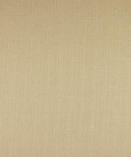 Advocate Flax M7286 by Barrow Industries Designer Fabric Casual Living/13CL04 52% POLYESTER FILAMENT-TEXTURED
48% POLYESTER FILAMENT NON-TEXTURED Asia 30,000 DOUBLE RUBS Horizontal: N/A and Vertical: N/A 58" - Swanky Fabrics -