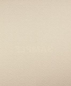 Prague 11001 M10278 by Barrow Designer Fabric