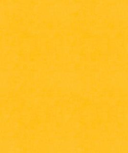 Counterpoint 11201 M9989 by Barrow Designer Fabric