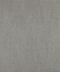 Pupil 11916 M10310 by Barrow Designer Fabric