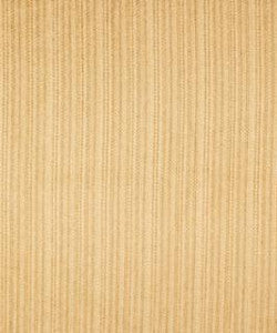Shackleford Golden M8946 by Barrow Designer Fabric