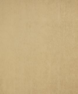 La Palma Quartz M8913 by Barrow Designer Fabric 1569 91% POLYESTER
9% NYLON CHINA 50,000 DOUBLE RUBS </p><p>Repeat: Horizontal: N/A and Vertical: N/A 54" Minimum - Swanky Fabrics -