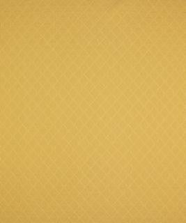 Upton Buttercup M6635 by Barrow Designer Fabric 2807 57% COTTON 43% POLYESTER CHINA 15,000 DOUBLE RUBS </p><p>Repeat: Horizontal: 1" and Vertical: 1" 54" Minimum - Swanky Fabrics -