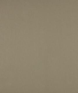 No Worries Seagull M9166 by Barrow Designer Fabric 12CL06 67% POLYESTER (F)
33% POLYESTER (S) CHINA 50,000 DOUBLE RUBS </p><p>Repeat: Horizontal: N/A and Vertical: N/A 54" Minimum - Swanky Fabrics -