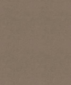 Flatbread 11101 M9989 by Barrow Designer Fabric